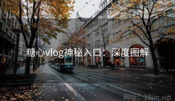 糖心vlog神秘入口：深度图解
