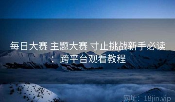 每日大赛 主题大赛 寸止挑战新手必读：跨平台观看教程