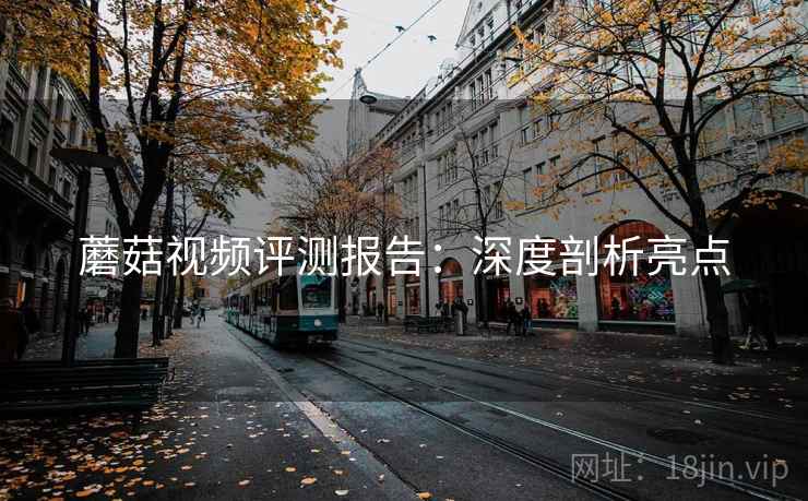 蘑菇视频评测报告：深度剖析亮点