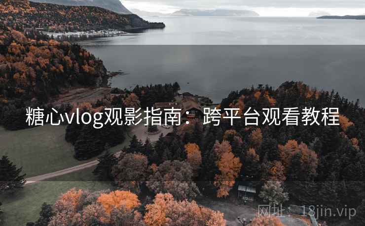 糖心vlog观影指南：跨平台观看教程