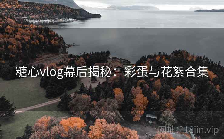 糖心vlog幕后揭秘:彩蛋与花絮合集 糖心vlog幕后揭秘:彩蛋与花絮合集